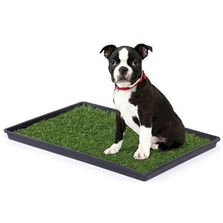 Prevue Hendryx Prevue Hendryx PP-501 Tinkle Turf - Medium PP-501